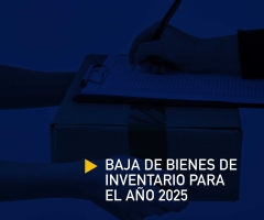 Baja de Bienes de Inventario para el año 2025